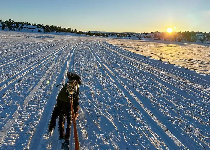 Dom wakacyjny Stunning In With Wifi Kvam (Oppland)