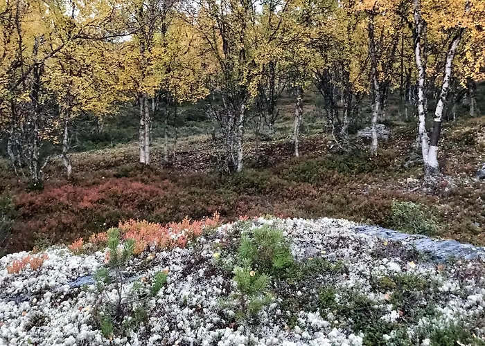 Stunning In With Wifi Dom wakacyjny Kvam (Oppland)