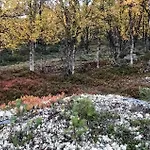 Stunning In With Wifi Holiday home Kvam (Oppland)