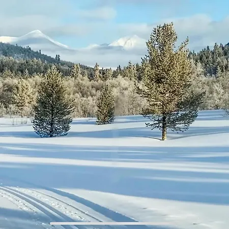 Stunning In With Wifi