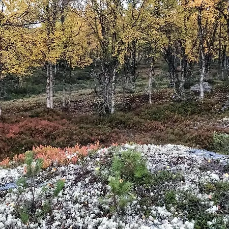 Stunning In With Wifi Holiday home Kvam (Oppland)